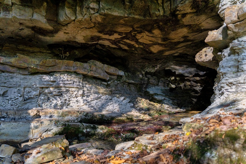 Фото: пресс-служба Сочинского национального парка