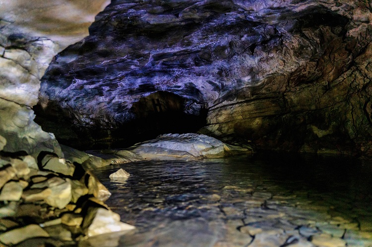 Фото: пресс-служба Сочинского национального парка