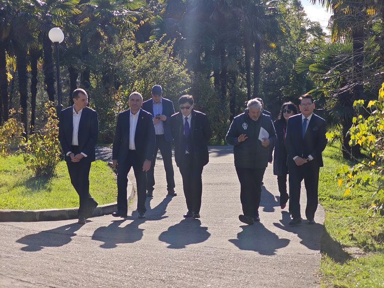 Фото пресс-служба Сочинского национального парка