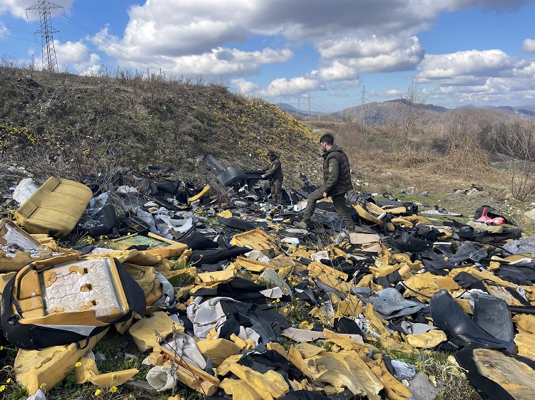 Фото: пресс-службы Сочинского национального парка