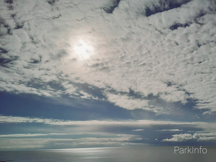 Фото: ИА ParkInfo